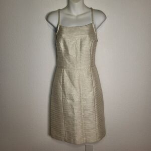 Anthropologie | Paper Crown Ivory Silver Striped Sheath Dress size 6